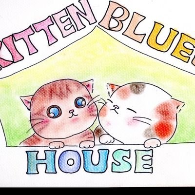 キトンブルーのおうち 優しい猫パンチ 猫好きさんと繋がりたい 子猫club 盲目猫