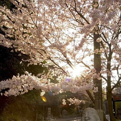 amano_eiji99's profile picture. Hailed from Matsuyama, Ehime of the Land of the Rising Sun. Now, living in Kuala Lumpur w/ my parents. Currently, studying at Universiti Malaya.