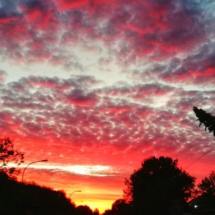 madpretorius21's profile picture. 