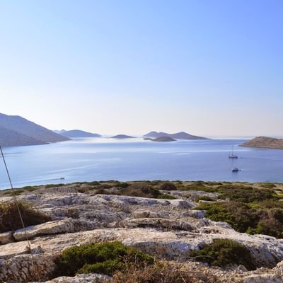 edi_sorgo's profile picture. 