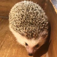 ⚓️たみー🎀🐾 (@taku_21) Twitter profile photo