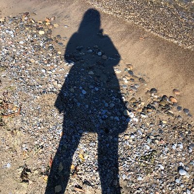 astridcasper's profile picture. 