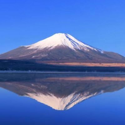 黒猫のウィズ&ツムツム &Twitter初心者ですがよろしくお願いします‼️
