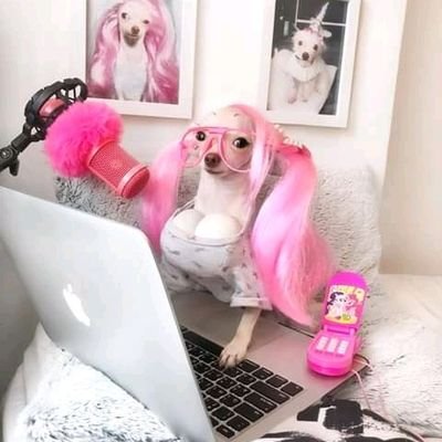 Nipaaaa6's profile picture. 18+