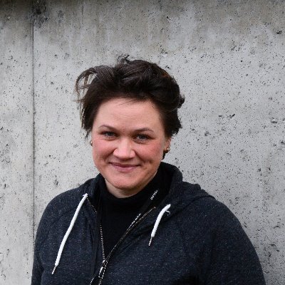 Understanding of the surface and sub-surface processes requires data & knowledge of #geology #urbanplanning @nguweb Main contributer to this post is Guri Venvik