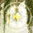 FOREST_MARCH_'s profile image