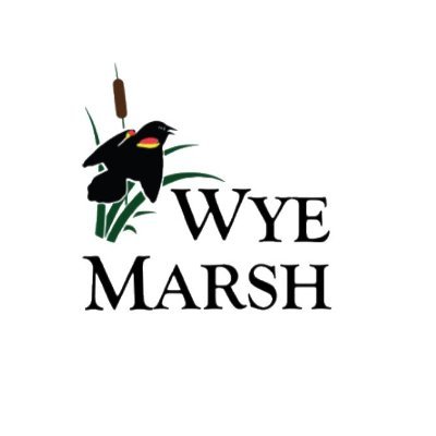 WyeMarsh Profile Picture