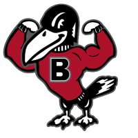 Bard-DC Falcons (@bardmighty) 's Twitter Profile