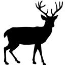 UKDTR1's profile picture. UK Deer Track & Recovery