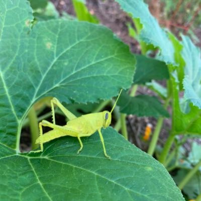 beth39140524's profile picture. 