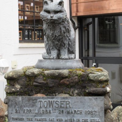 160364's profile picture. I come from glasgow and like to keep my self fit and my weight down