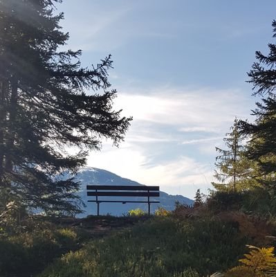 NutzerBenutzer's profile picture. NutzerBenutzer im Heaven 😉

I live in