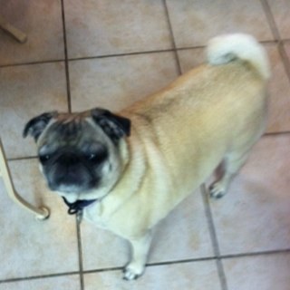 cac01's profile picture. 