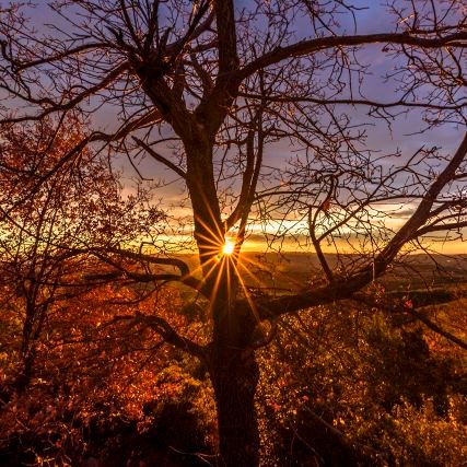 Jordi79mr's profile picture. 