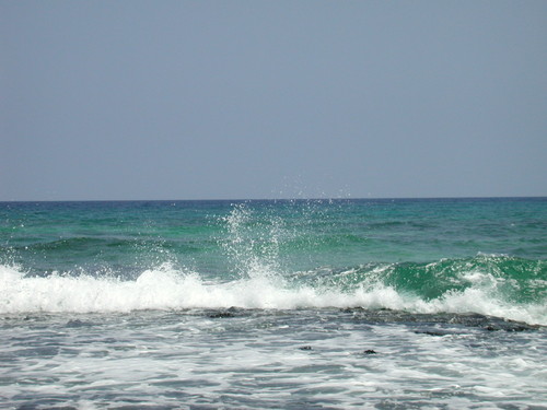 pilcrowpalaver's profile picture. gis, design, books - gardening on the weekends; science on the weekdays