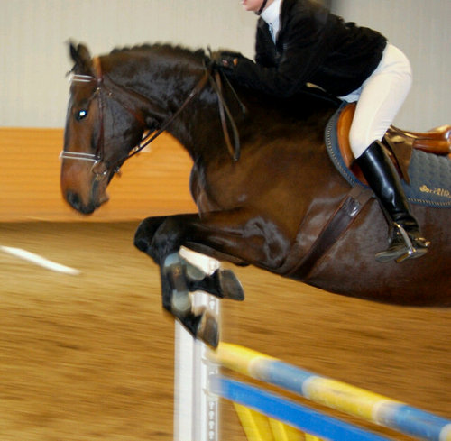 jlangford89's profile picture. You are ever responsible for that which you tame ~ the little prince