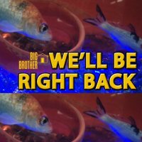 bbscreenshots #bb26 (@bbscreenshots) 's Twitter Profile Photo bbscreenshots #bb26 (@bbscreenshots) 's Twitter Profile Photo
