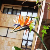 María Gonzalez (@unamillaunpaso) 's Twitter Profile Photo