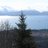 KBConservation's profile image