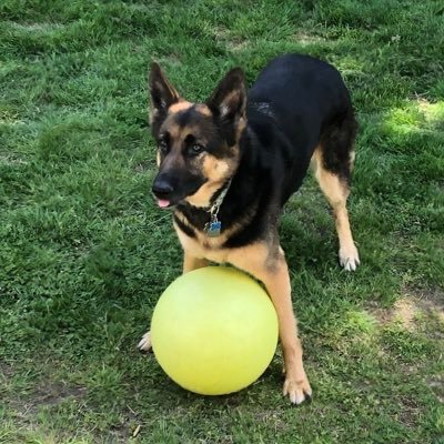 TedRobertV's profile picture. 