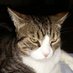 Diane Hebb (@anehebb) Twitter profile photo Diane Hebb (@anehebb) Twitter profile photo