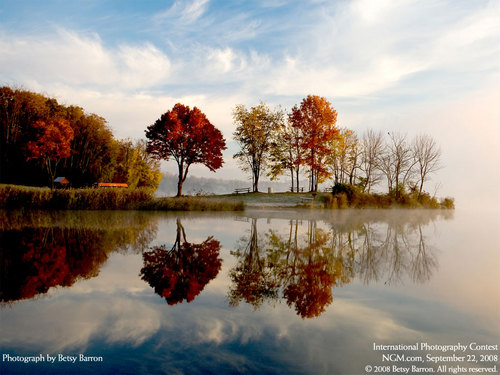 cembeliq's profile picture. 