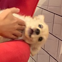 başak (@kefensizolmaz) Twitter profile photo