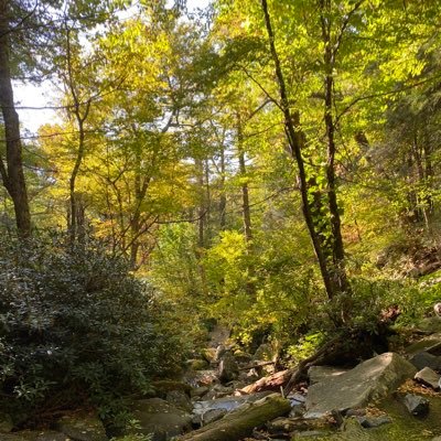 lazoff_joni's profile picture. Wife . Mother . Saved by Grace through Faith