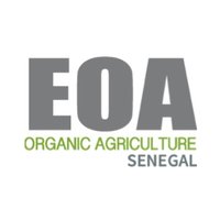 AEB Senegal (@aebsenegal) 's Twitter Profile