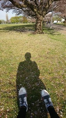 緬→東京でサラリーマン