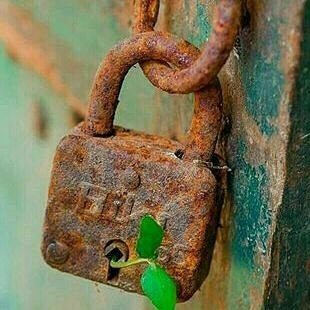 🌿🌿🌿آنقدر دانم که چیزی هست و من گم کرده ام🌿🌿🌿
🖼⚘عقل رفت بالاتر نشست/ عشق آمد زیر پایش نشست⚘🖼