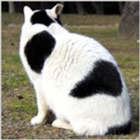 jiro moriya (@setagaya121) 's Twitter Profile Photo jiro moriya (@setagaya121) 's Twitter Profile Photo