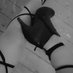Legs11 (@legs1183960888) Twitter profile photo Legs11 (@legs1183960888) Twitter profile photo