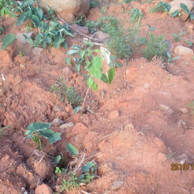 SamuelJSpiegel's profile picture. 