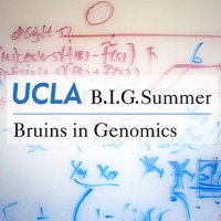 BIG Summer Program (@ucla_bigsummer) 's Twitter Profile Photo