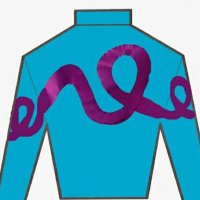 Rollercoaster Racing Stable (@rollercoastr805) 's Twitter Profile