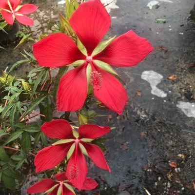 kayleighc72's profile picture. 