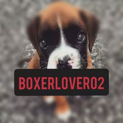My #boxer🐕 #dog🐶 is my world✌