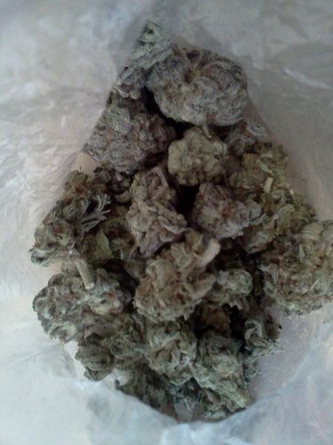 JD_CHAMBERLAIN's profile picture. UMMM...I SMOKE HELLY KUSH.!!!.DAT IS ALL...AHAHAHA
