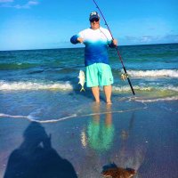 Gregg E Hill (@greggehill) 's Twitter Profile