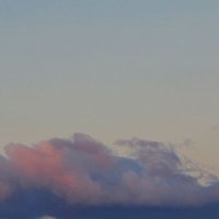 chantie (@d5yuf) 's Twitter Profile