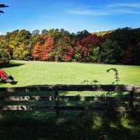 Mayfield Farm (@mayfieldfarmwv) Twitter profile photo