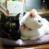 eneko (@eneko93430369) Twitter profile photo