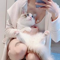 鳴海ゆい🎀pharfaite (@narumi_ph) Twitter profile photo