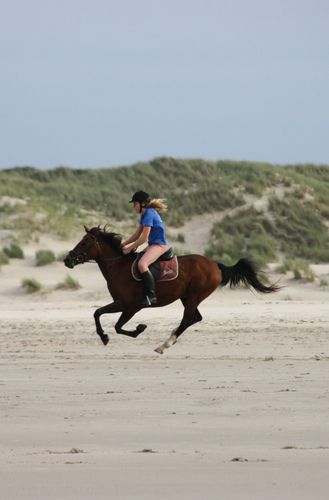 AnouukR's profile picture. If karma doesn't hit you, I gladly will.