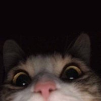 Andy (@and_kirin) 's Twitter Profile