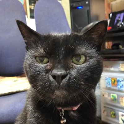 いくつになってもゲームが大好き。