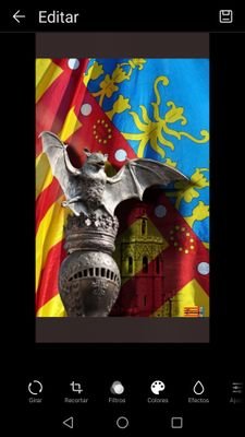 GallartTerol's profile picture. 