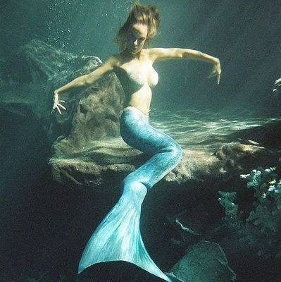 Javascr94350616's profile picture. 