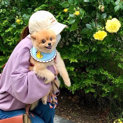 매일 아침 나의 강아지와